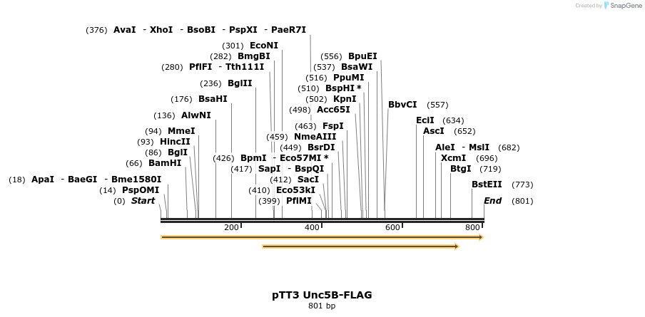 138197_map