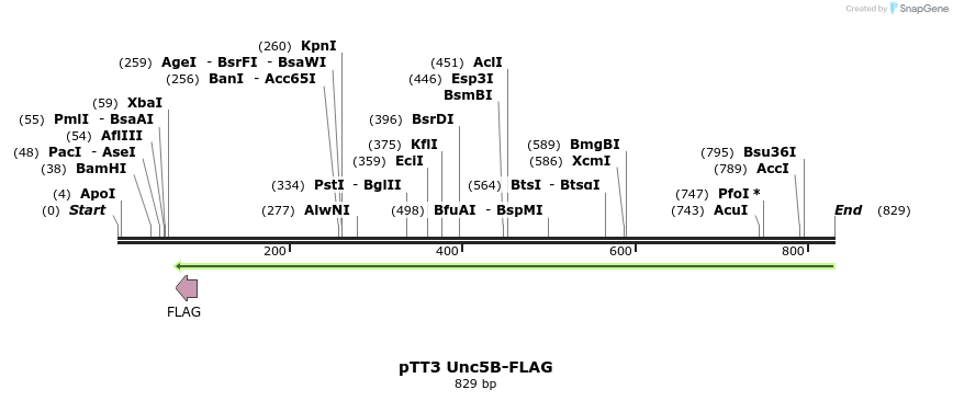 138198_map