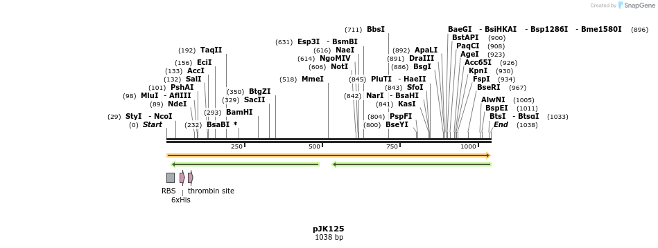 138199_map