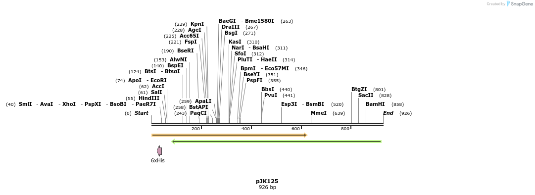 138200_map