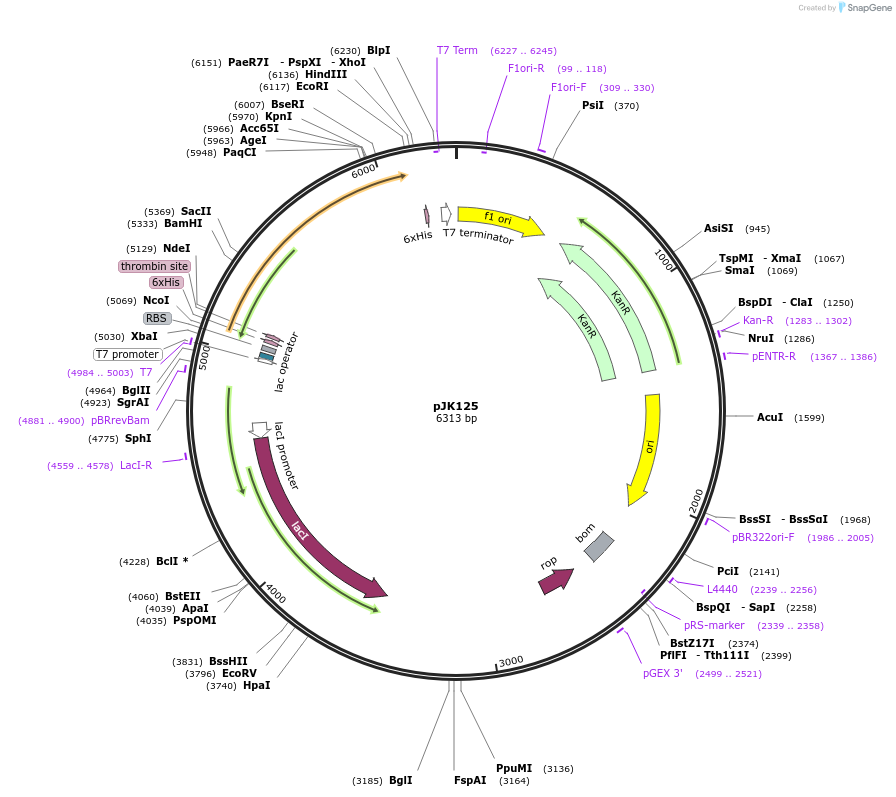 138202_map