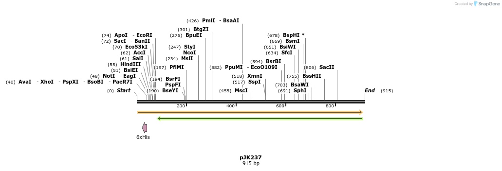 138206_map