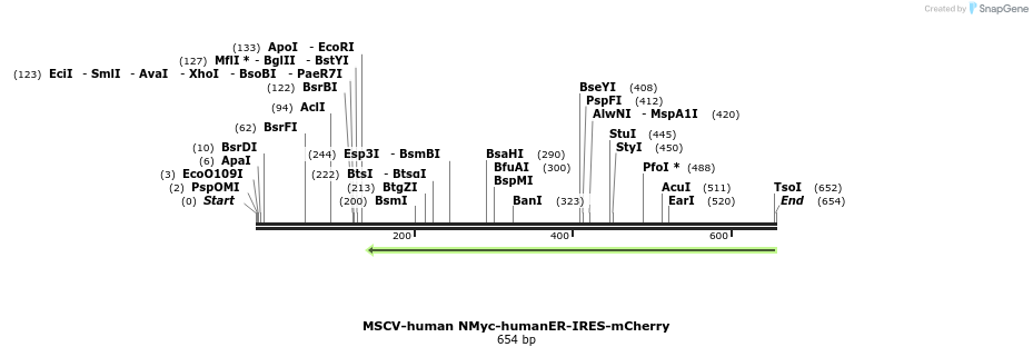 138221_map