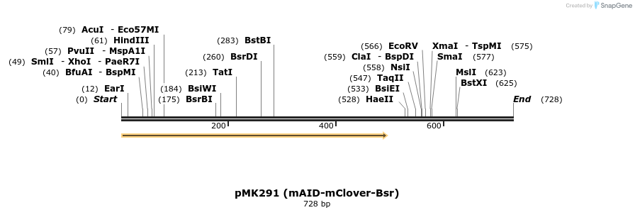 138226_map