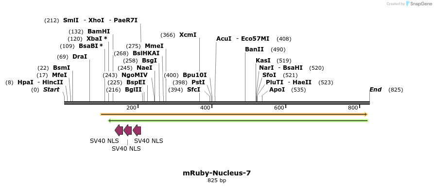 138229_map