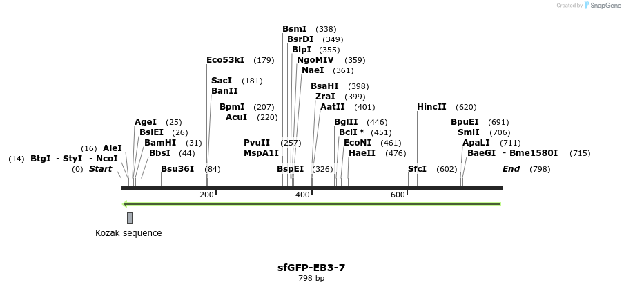 138230_map