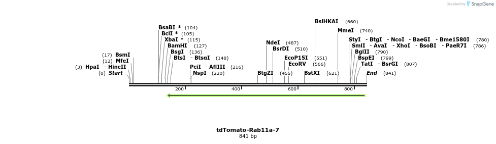 138232_map