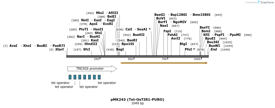 138233_map