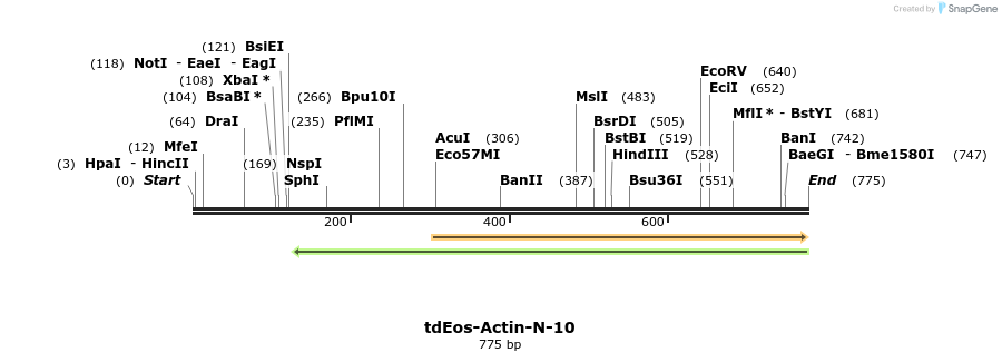 138236_map