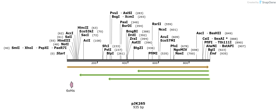 138239_map