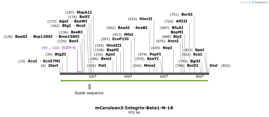 138242_map