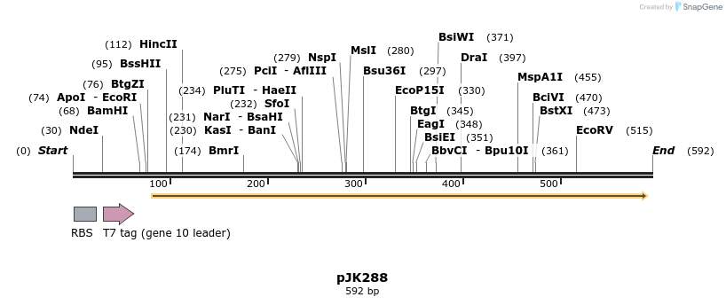 138246_map