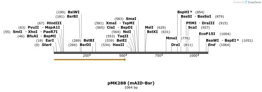 138251_map
