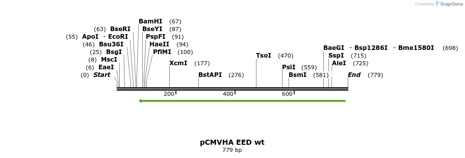 138256_map