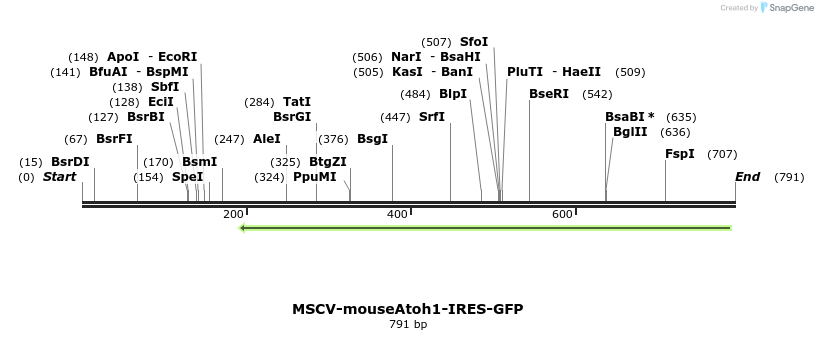 138263_map