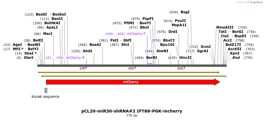 138264_map