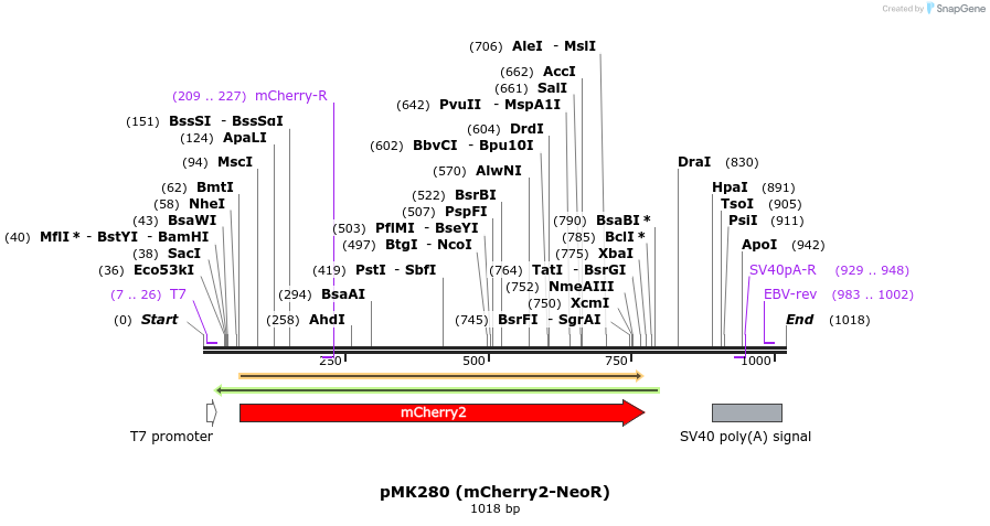 138266_map