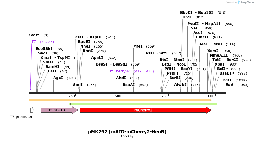 138267_map