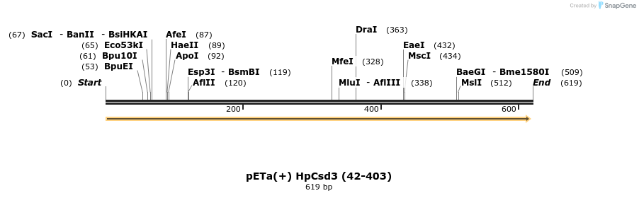 138268_map