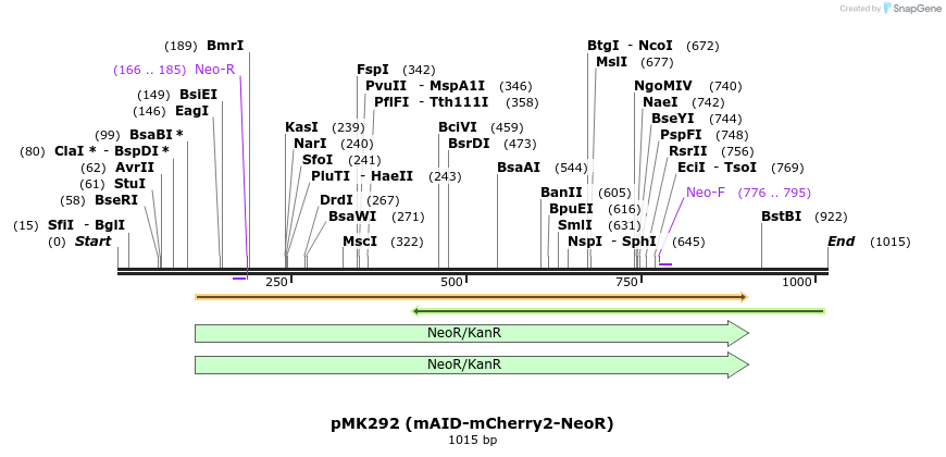 138269_map