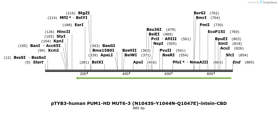 138271_map