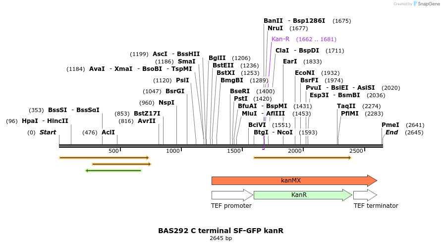 138272_map