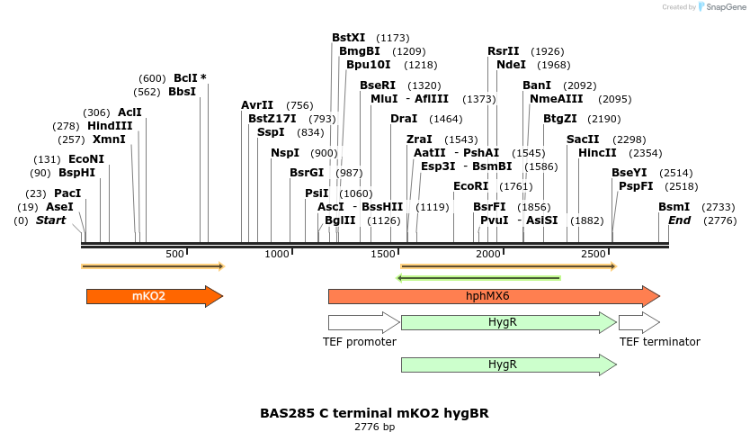 138276_map