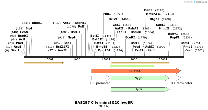 138277_map