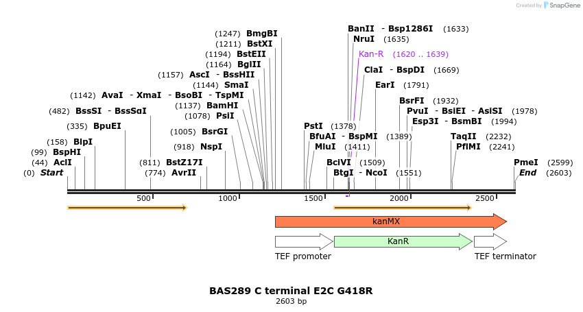 138278_map