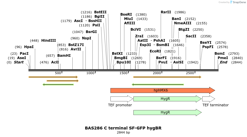 138279_map