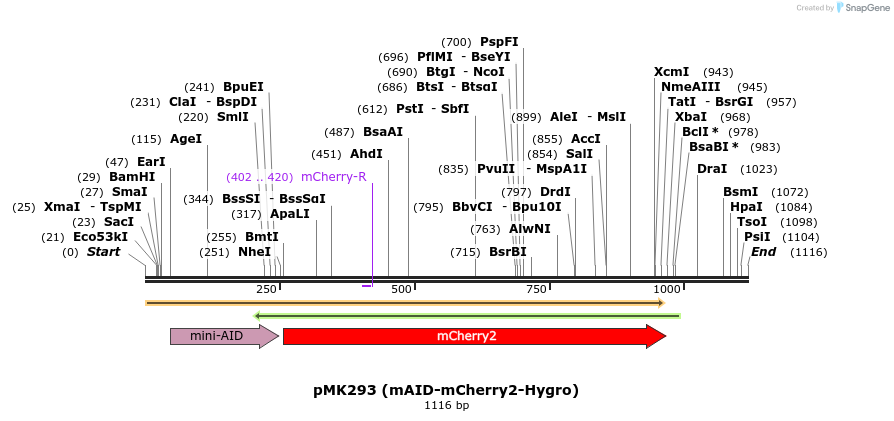 138280_map