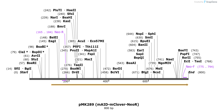 138287_map