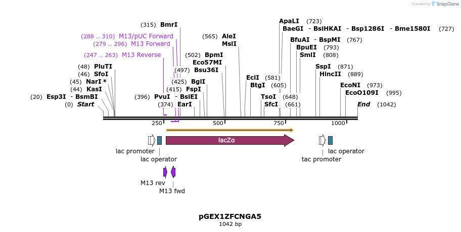 138288_map