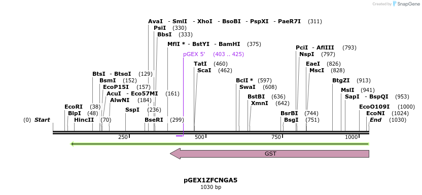 138289_map