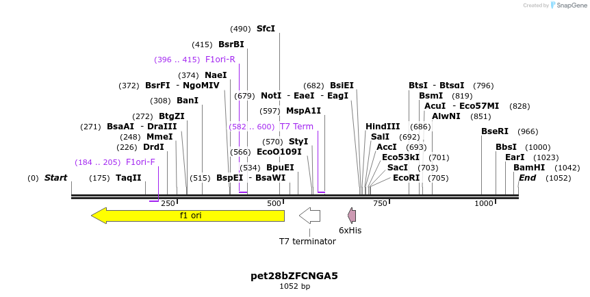 138291_map