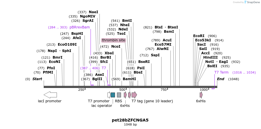 138292_map