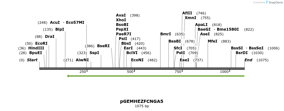 138295_map