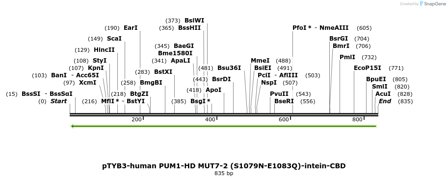 138302_map