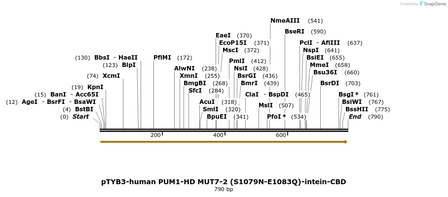 138305_map