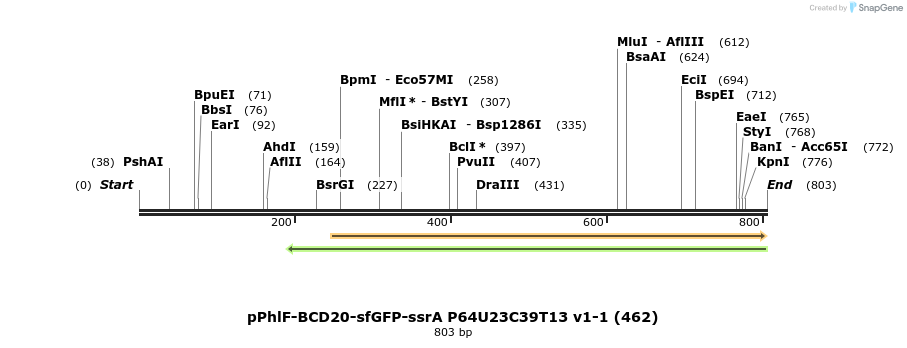 138308_map