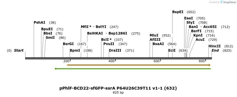138310_map