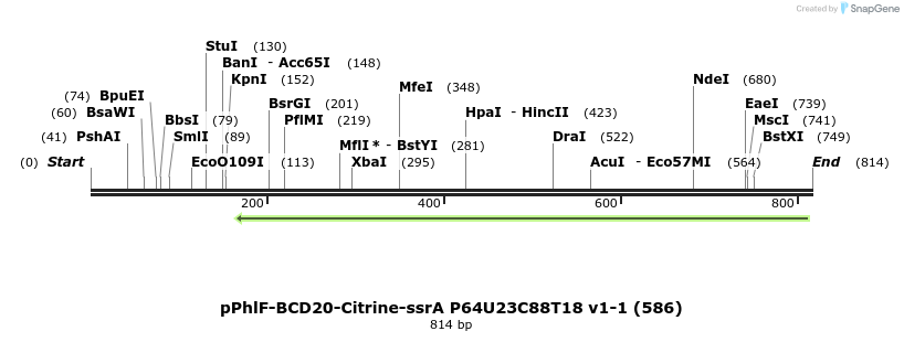 138313_map