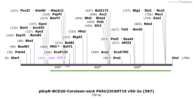138314_map