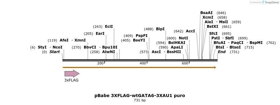 138332_map