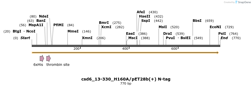 138335_map