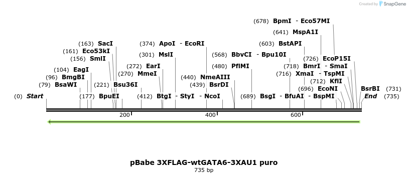 138338_map
