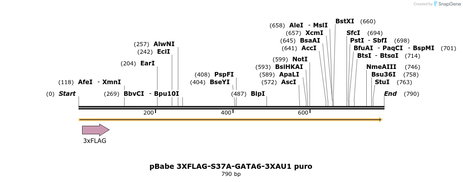 138353_map