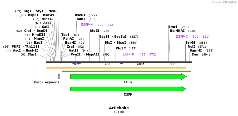 138356_map