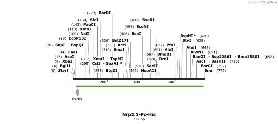 138365_map