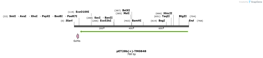 138373_map